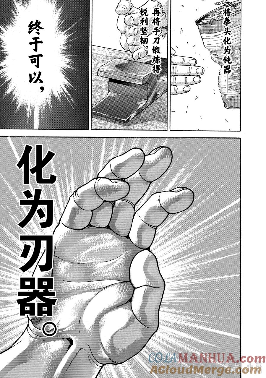 刃牙Ⅱ 52 从唐手道到空手道 第13页