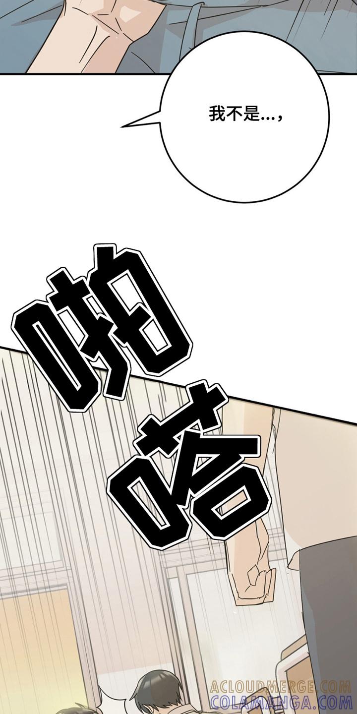 《互补人生》第13章：申请书 第19页