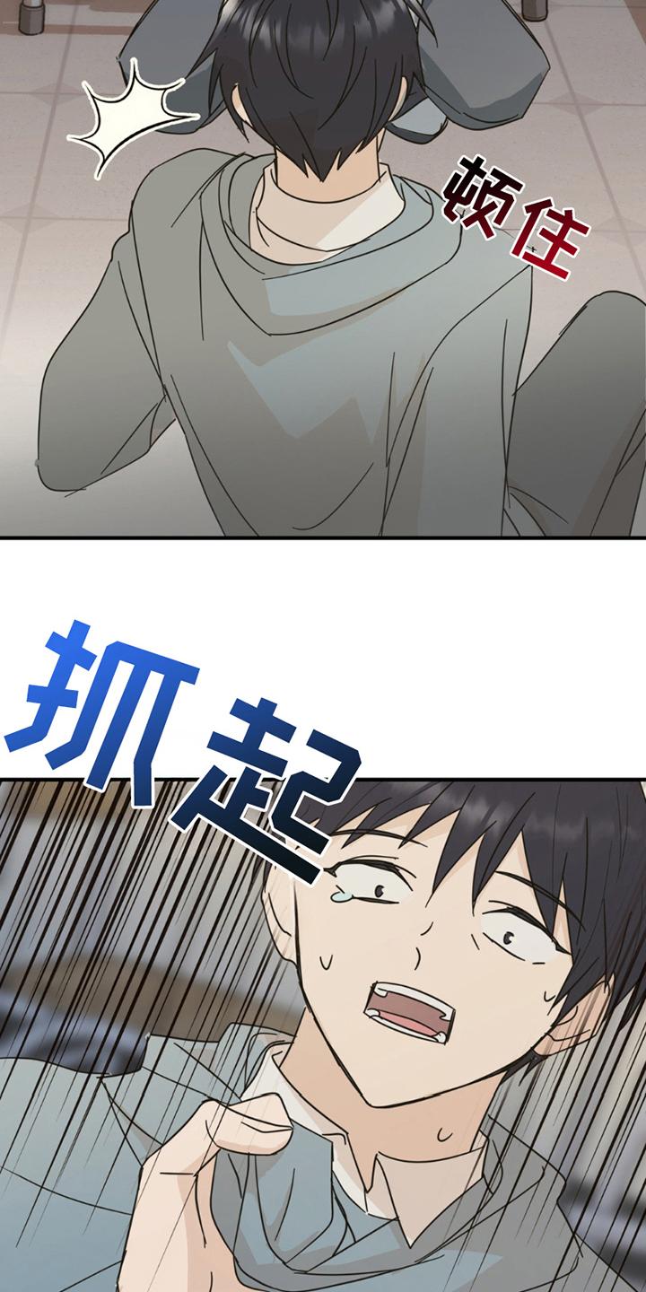 《互补人生》第13章：申请书 第18页