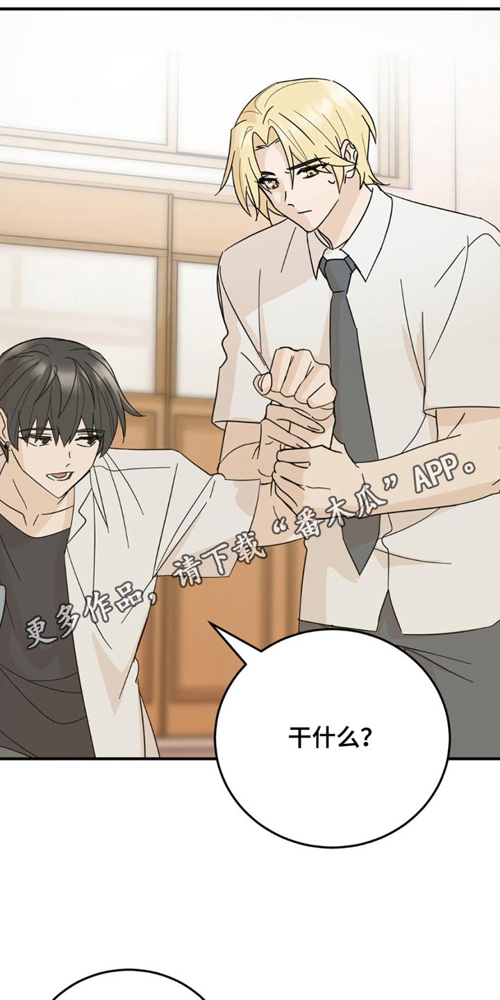《互补人生》第14章：毫无关系 第4页