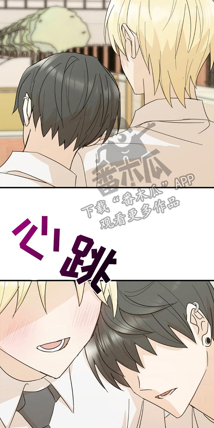 《互补人生》第15章：没必要 第2页