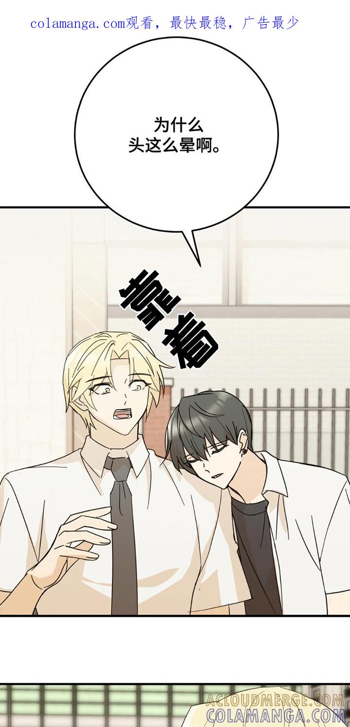 《互补人生》第15章：没必要 第1页