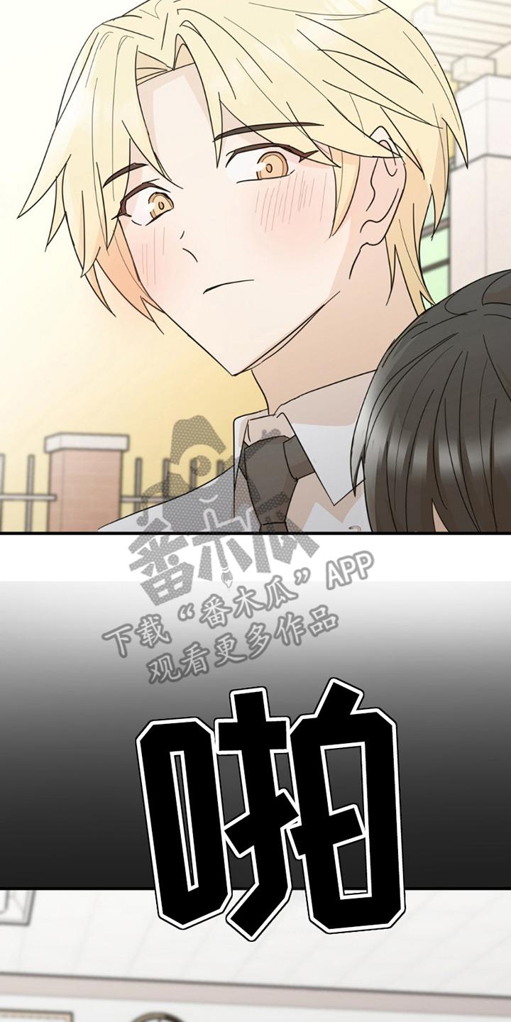 《互补人生》第15章：没必要 第6页