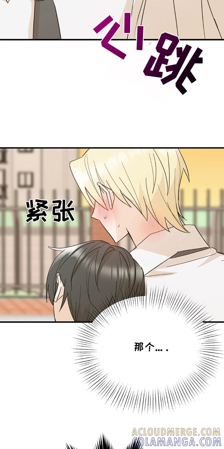 《互补人生》第15章：没必要 第3页