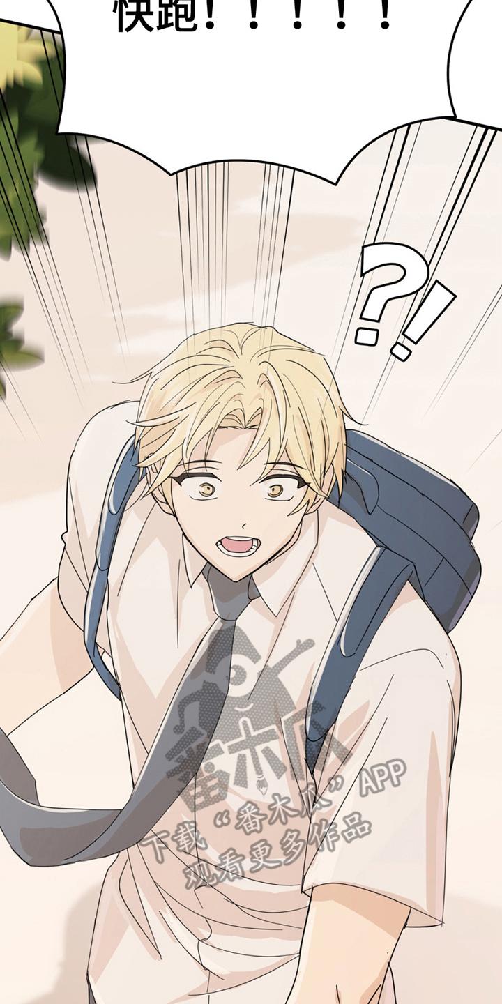 《互补人生》第17章：逃跑 第4页