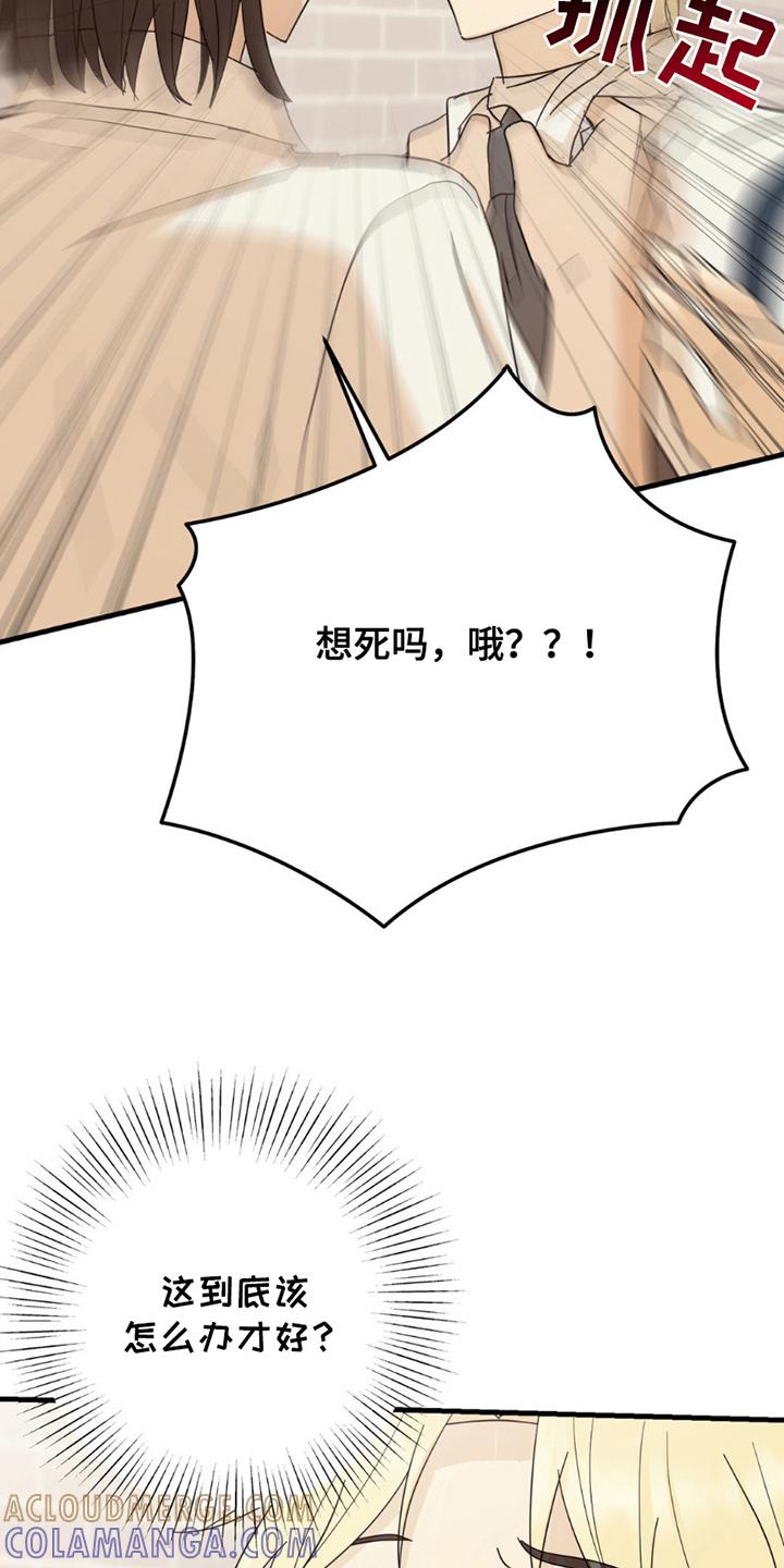 《互补人生》第18章：意外 第13页