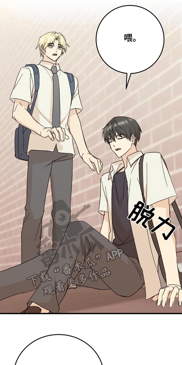 《互补人生》第18章：意外 第2页