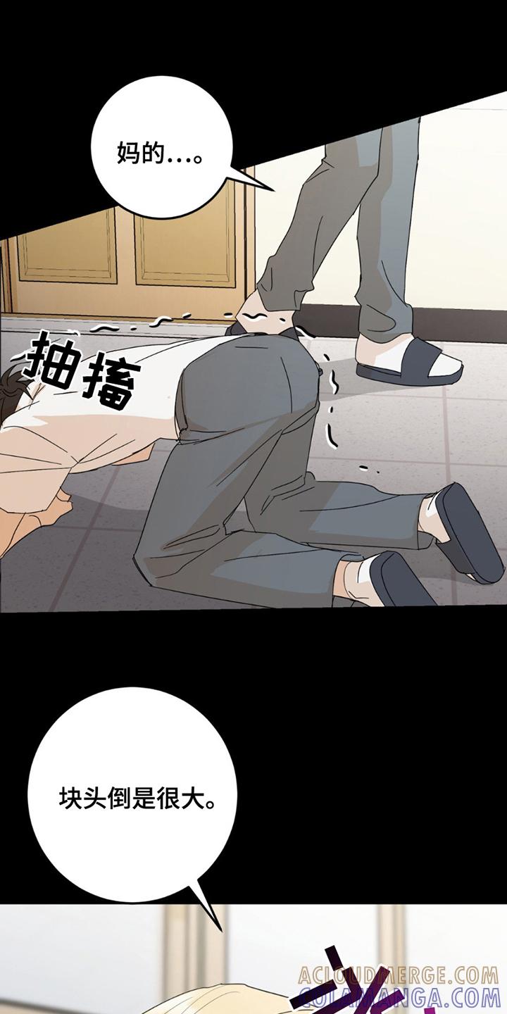 《互补人生》第19章：真相 第19页