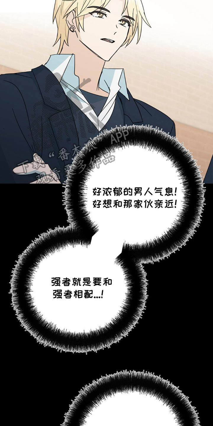 《互补人生》第19章：真相 第6页