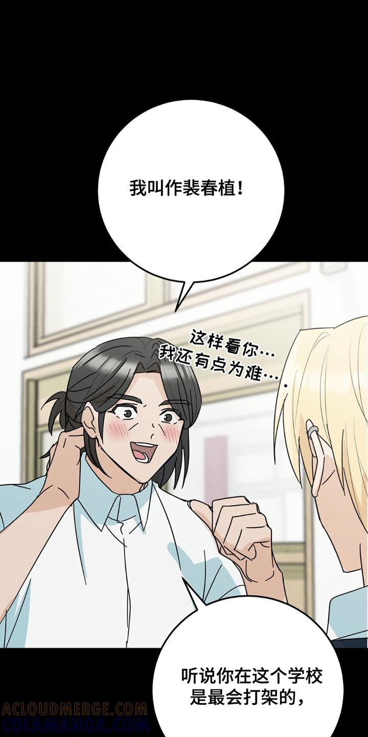 《互补人生》第19章：真相 第11页