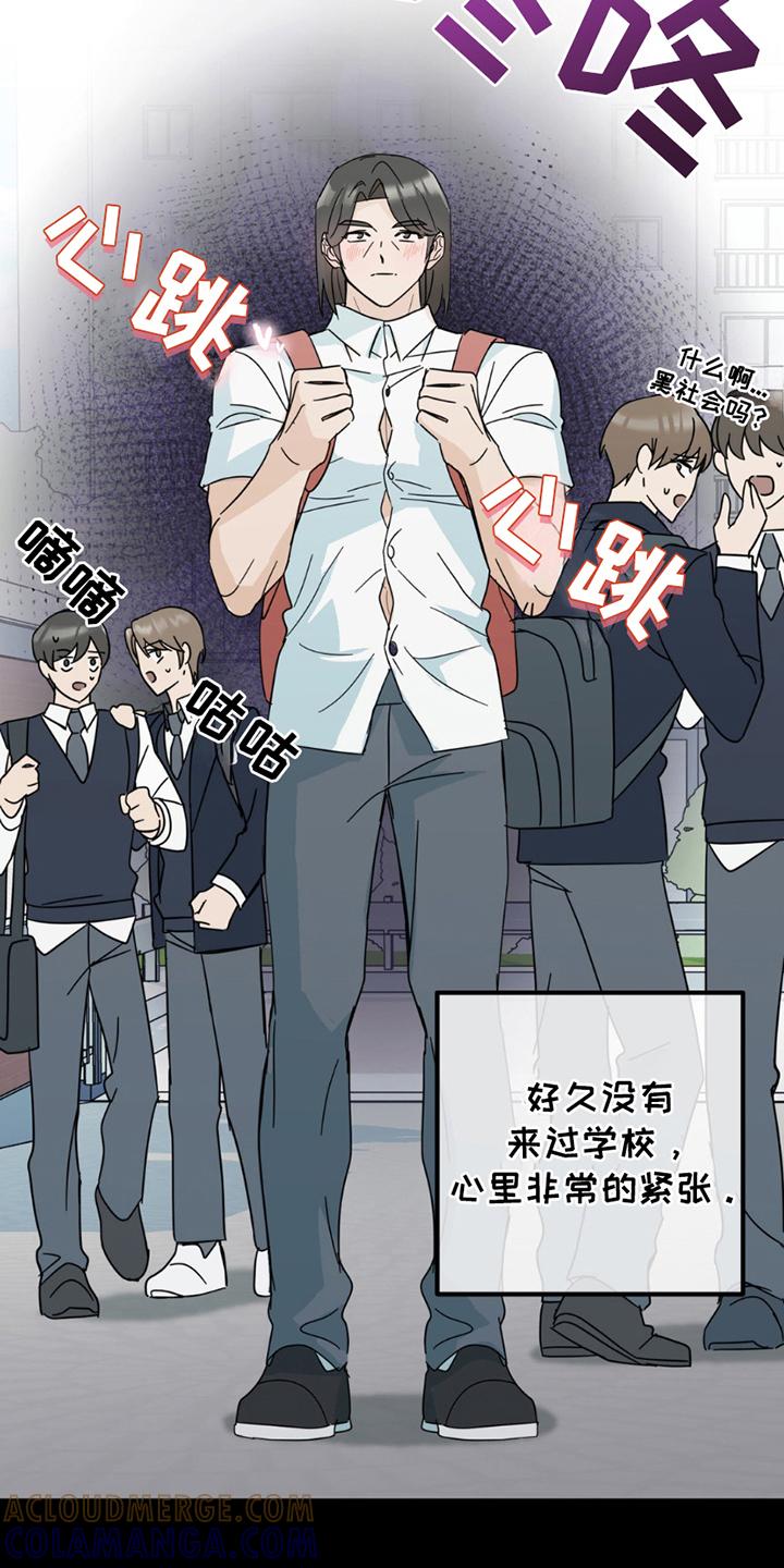 《互补人生》第19章：真相 第3页