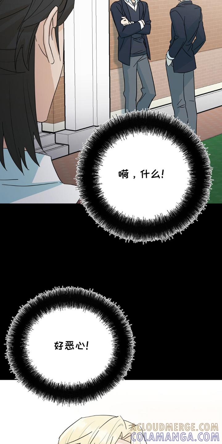《互补人生》第19章：真相 第5页