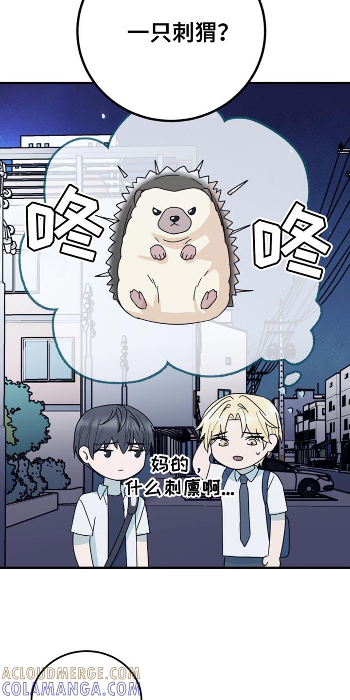 《互补人生》第20章：一无所获 第19页