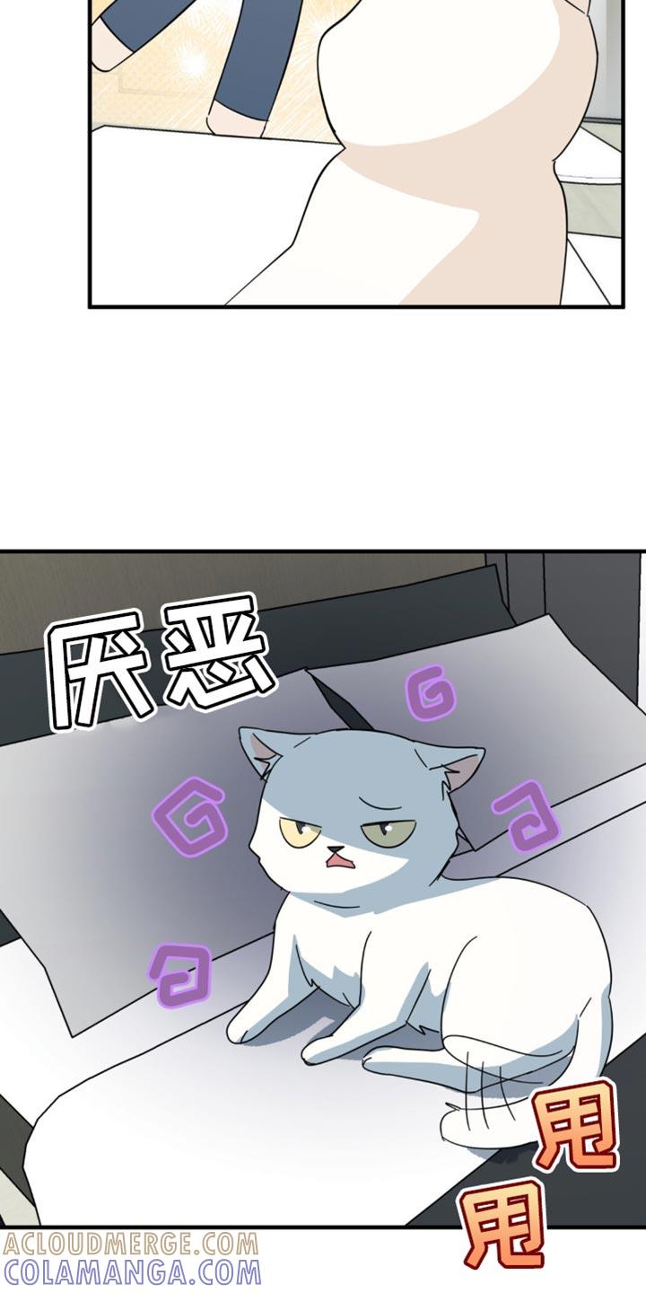 《互补人生》第21章：告白？ 第7页