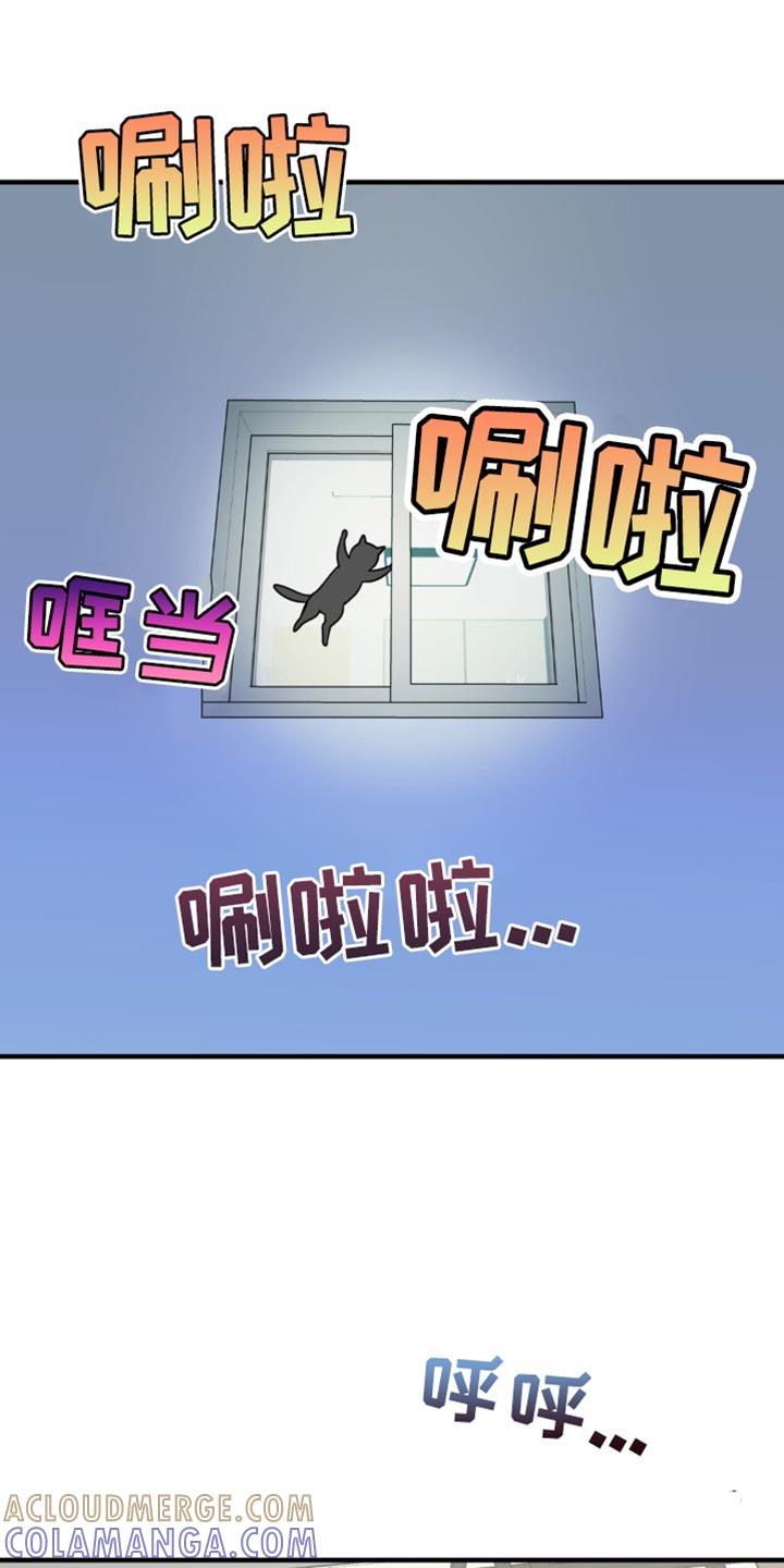 《互补人生》第21章：告白？ 第13页