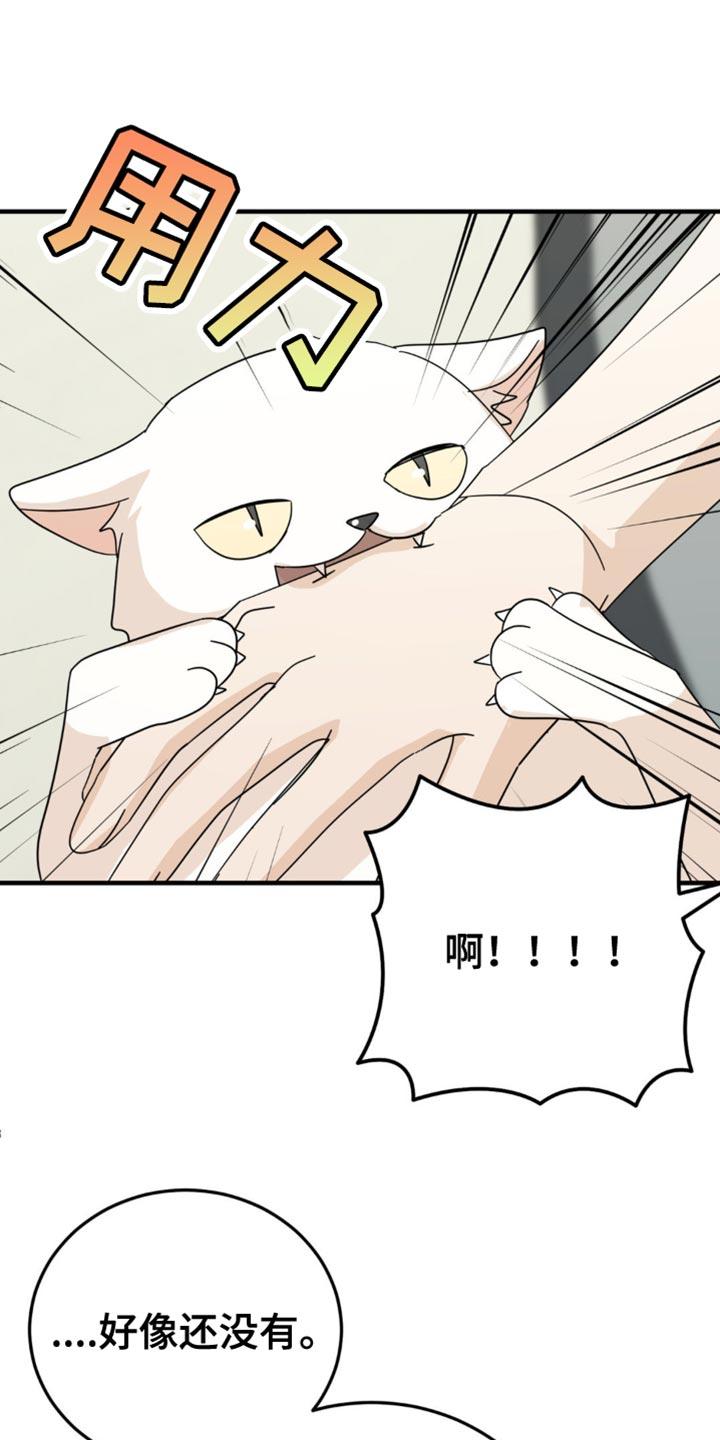 《互补人生》第21章：告白？ 第18页