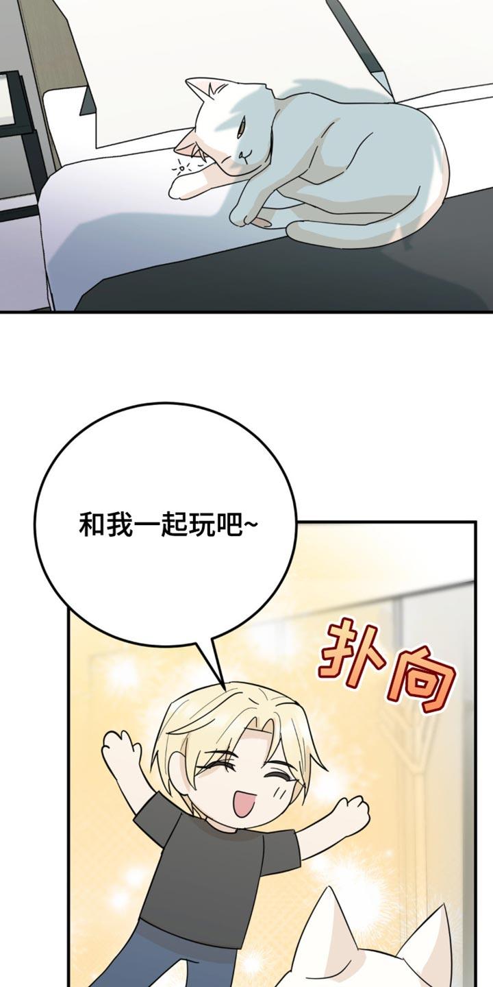 《互补人生》第21章：告白？ 第6页