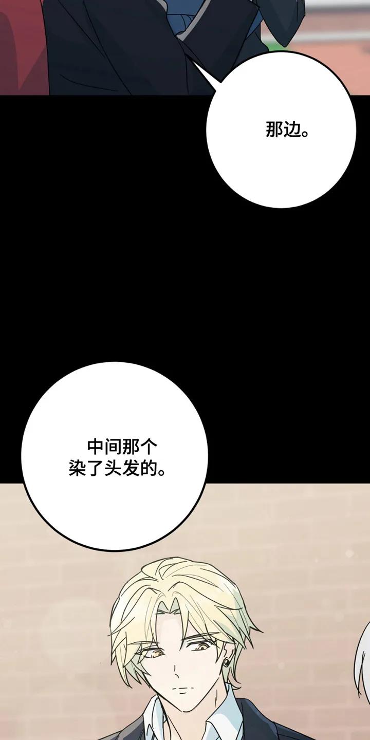 《互补人生》第5章：照片 第24页