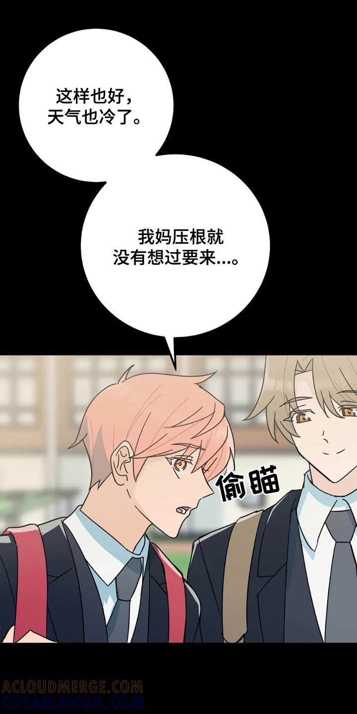 《互补人生》第5章：照片 第17页