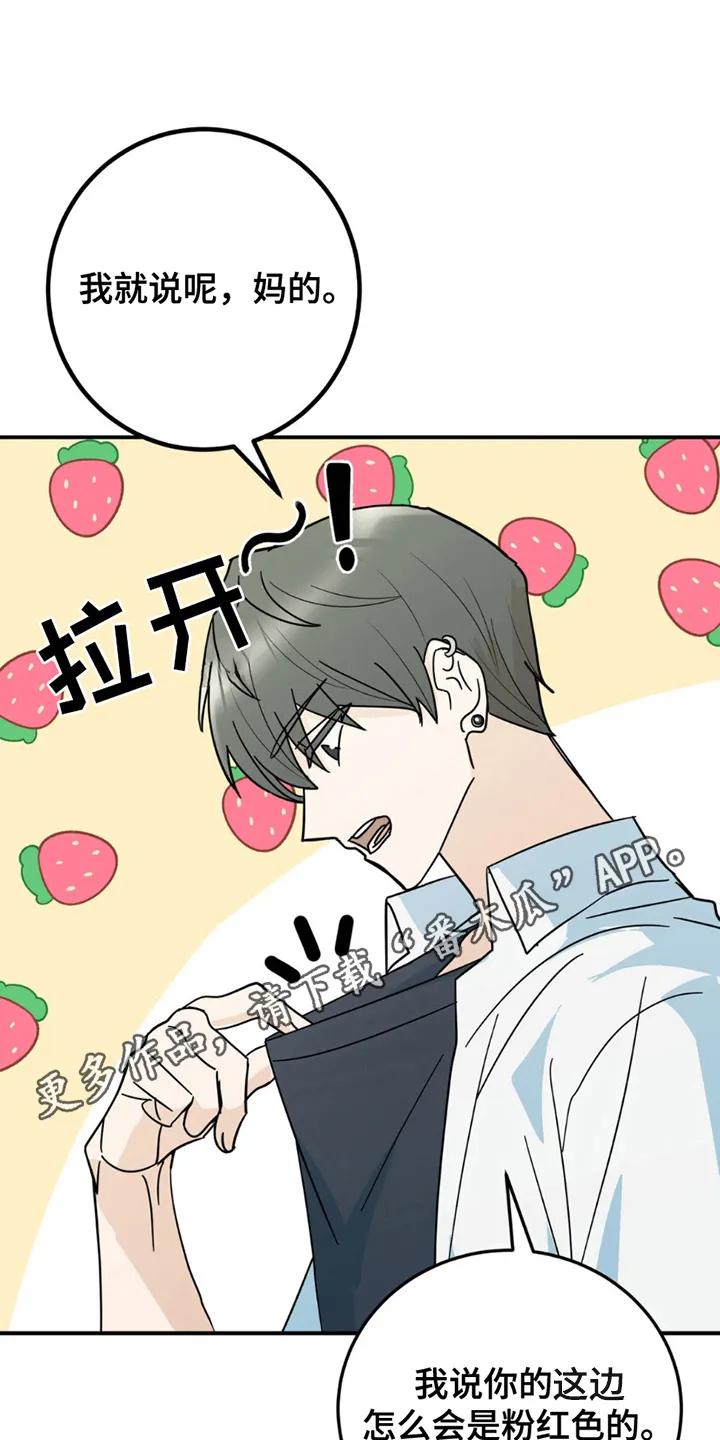 《互补人生》第5章：照片 第10页