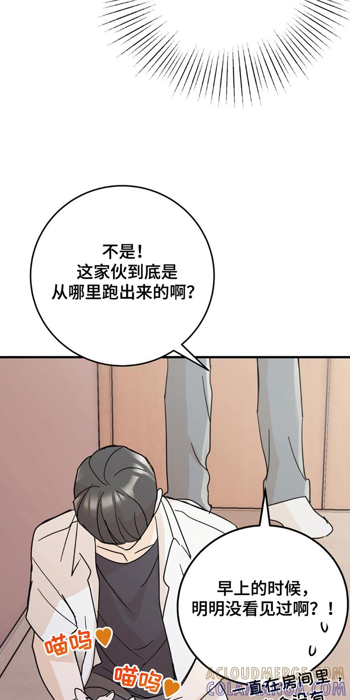 《互补人生》第8章：分出真假 第5页