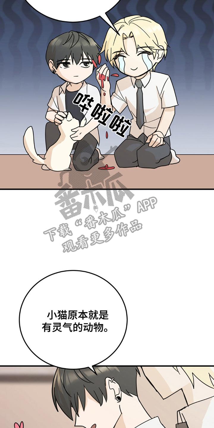 《互补人生》第8章：分出真假 第12页