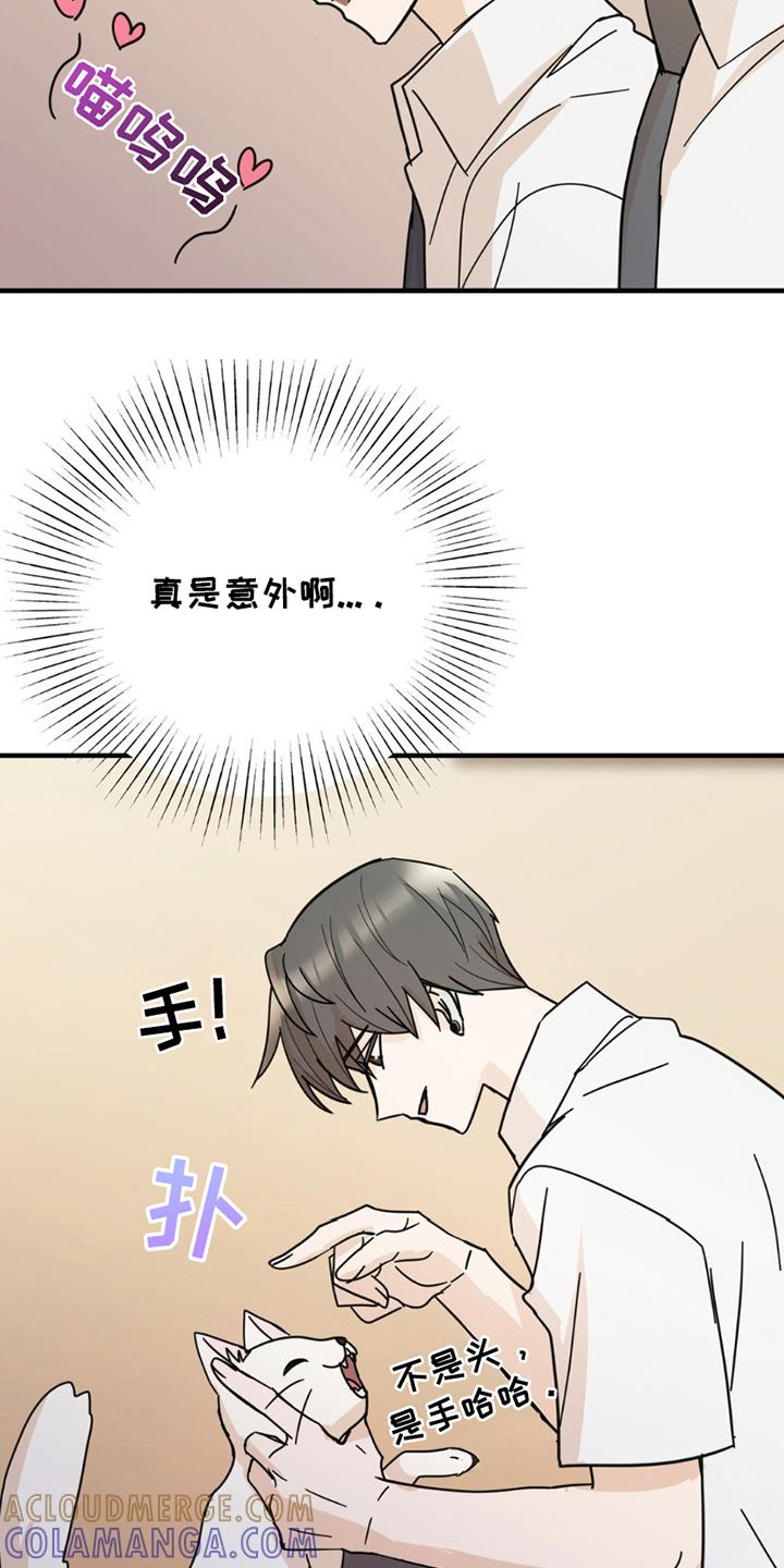 《互补人生》第8章：分出真假 第13页