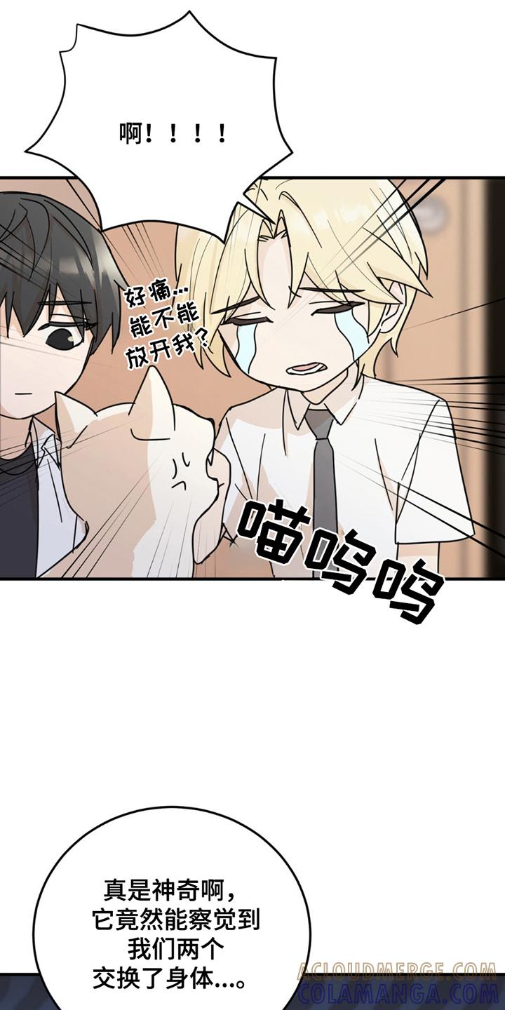 《互补人生》第8章：分出真假 第11页