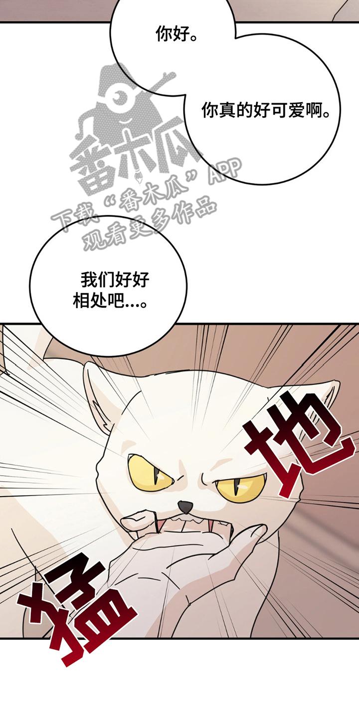 《互补人生》第8章：分出真假 第10页