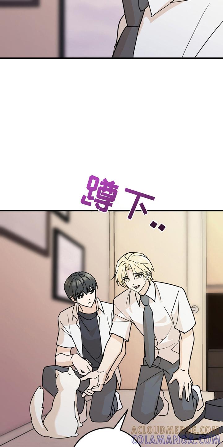 《互补人生》第8章：分出真假 第9页