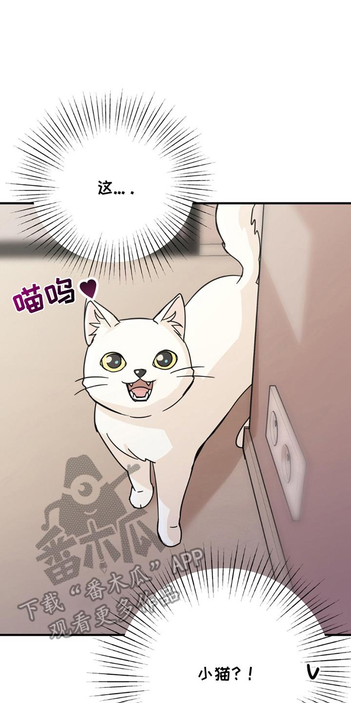 《互补人生》第8章：分出真假 第4页