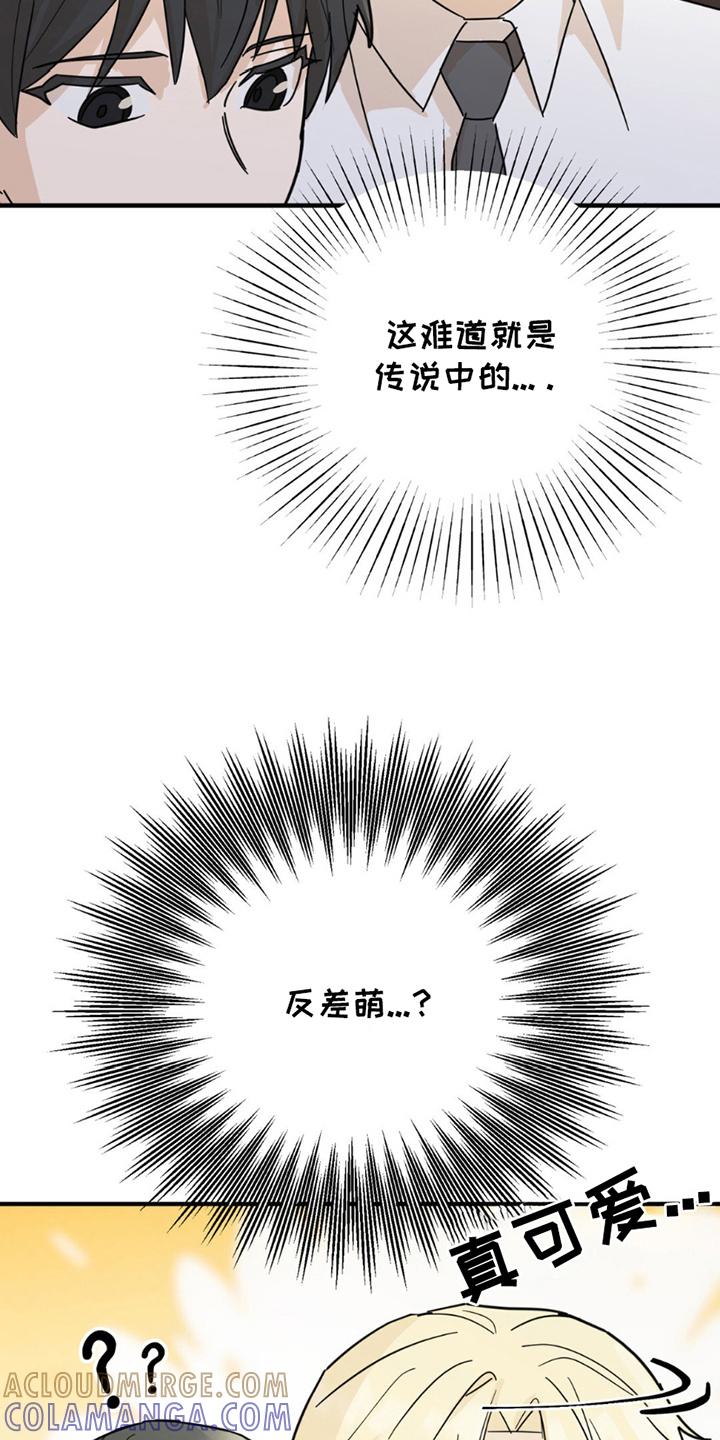 《互补人生》第8章：分出真假 第15页