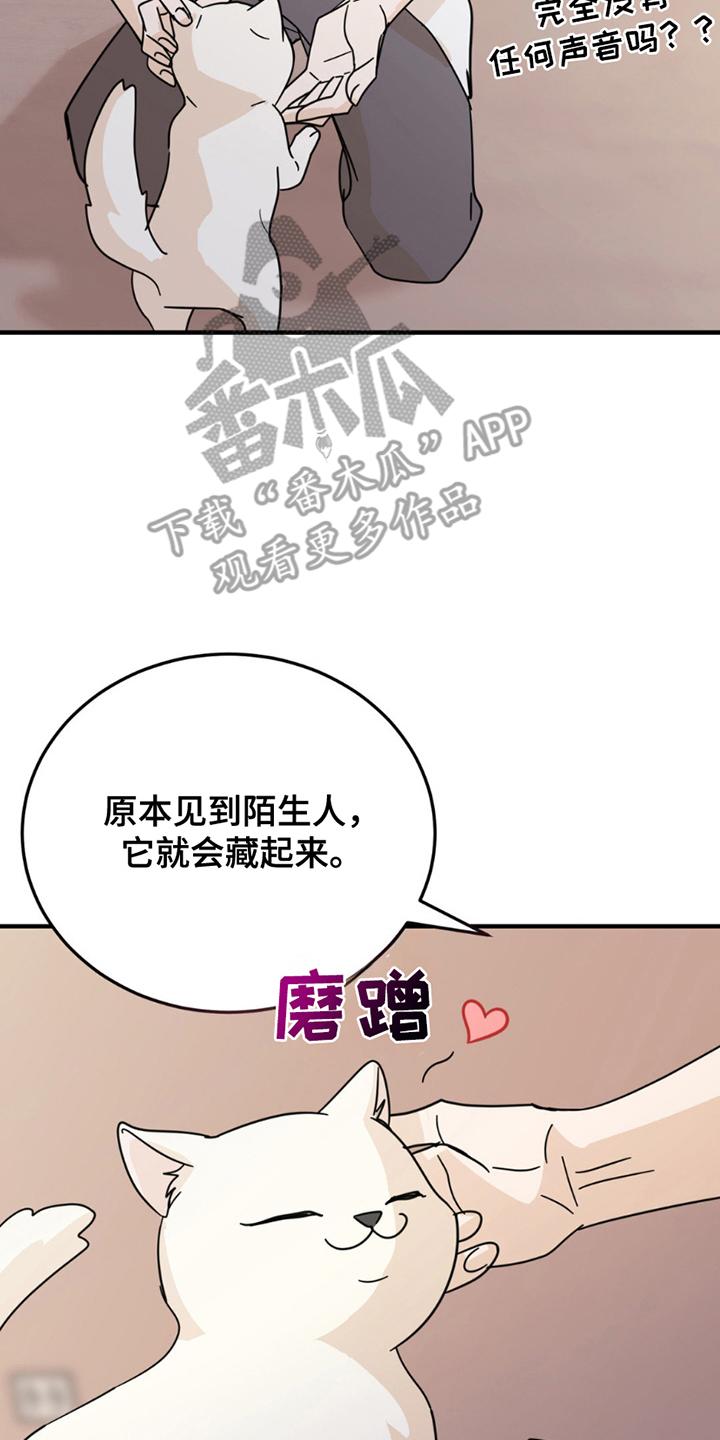 《互补人生》第8章：分出真假 第6页