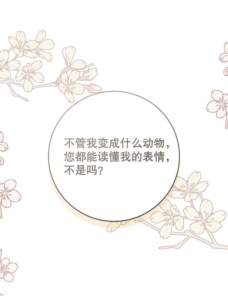 只需轻握我的手 39.动物脑袋 第99页