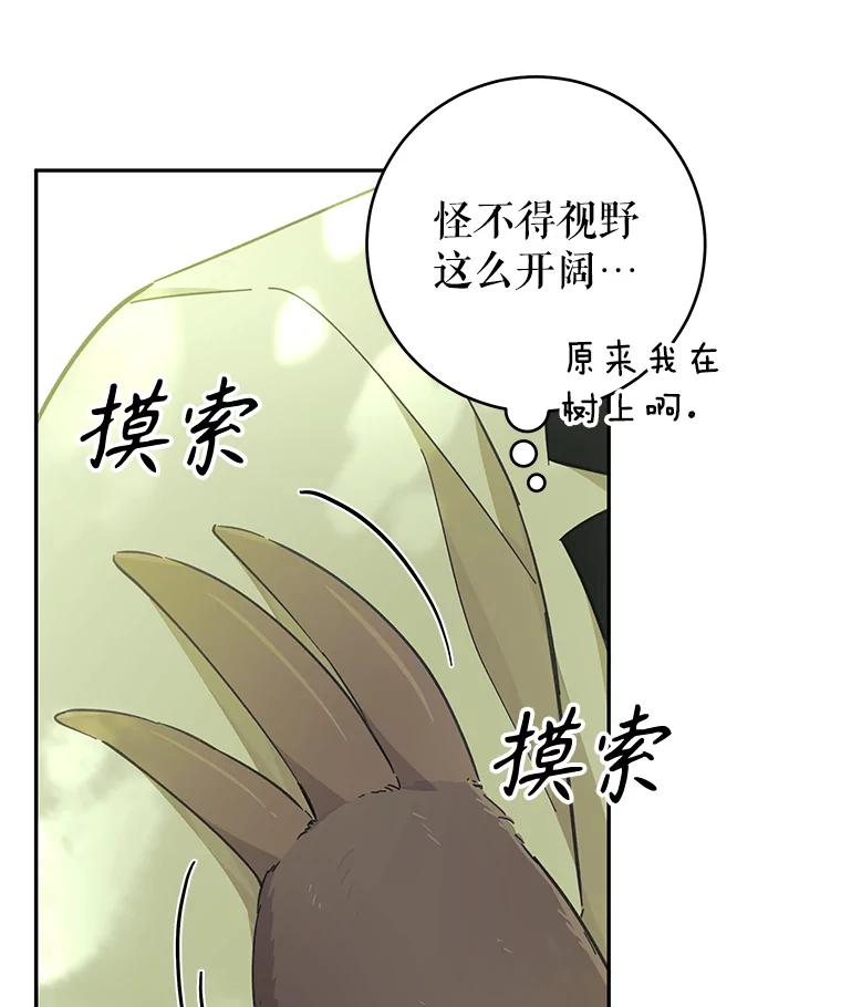 只需轻握我的手 39.动物脑袋 第20页