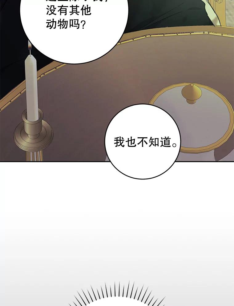 只需轻握我的手 39.动物脑袋 第72页
