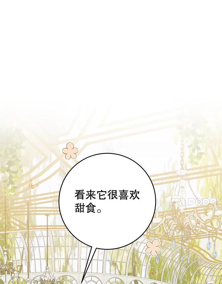 只需轻握我的手 39.动物脑袋 第107页