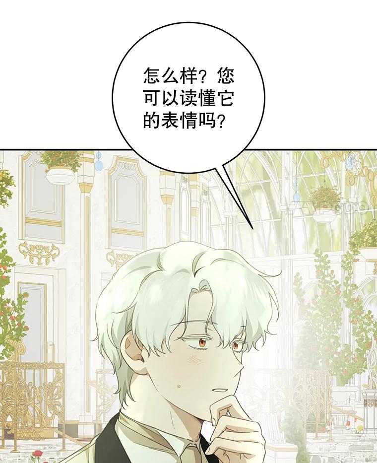 只需轻握我的手 40.未婚妻 第4页