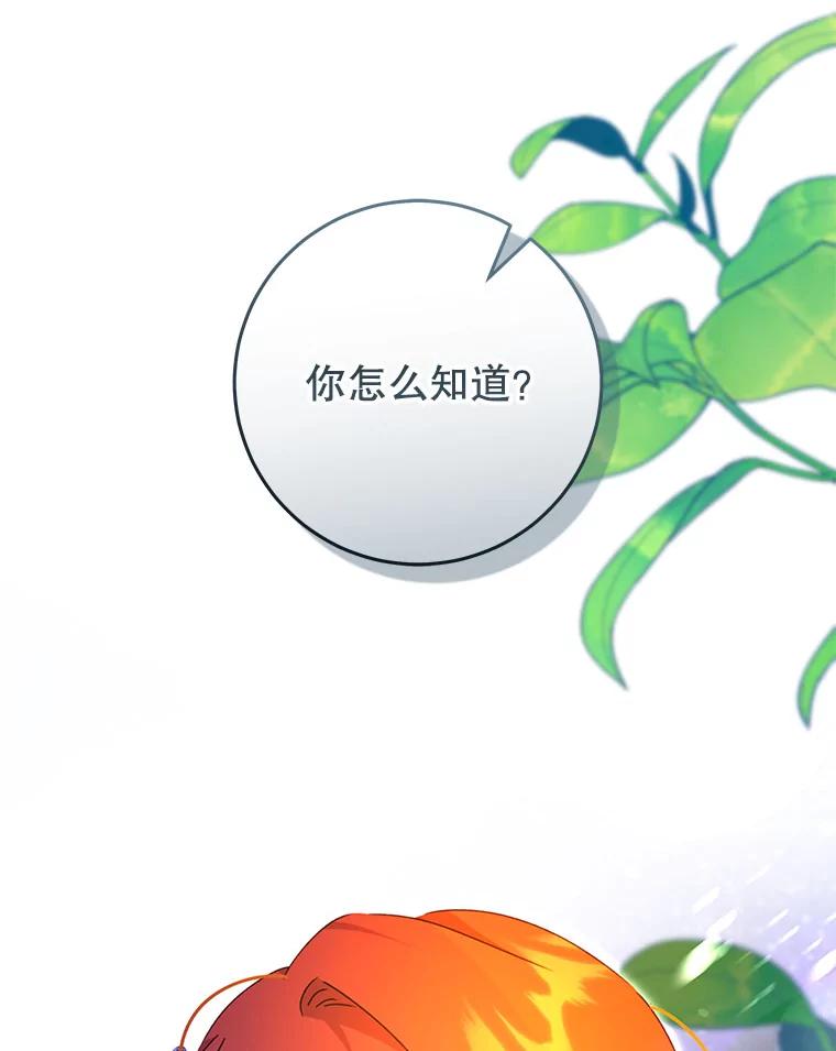 只需轻握我的手 48.所谓自由 第15页