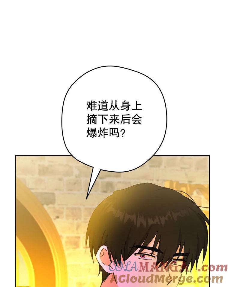 只需轻握我的手 48.所谓自由 第13页
