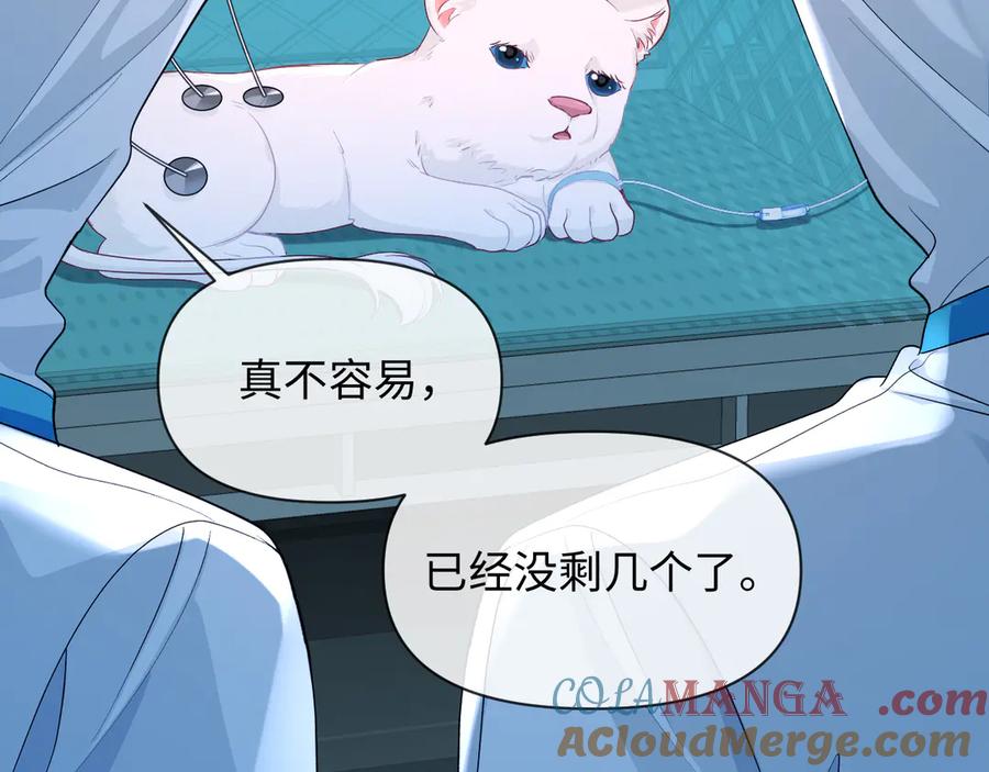 人鱼陷落 第142话 _兰波。_ 第13页