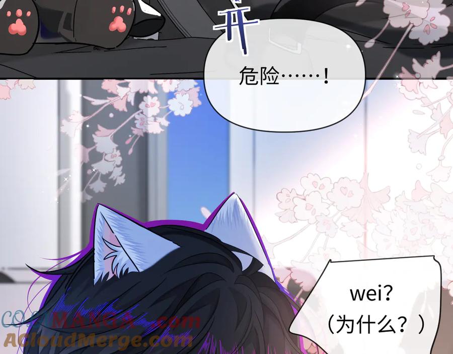人鱼陷落 特典祈愿：人鱼陷落 爱意倾灌 血肉疯涨 第81页