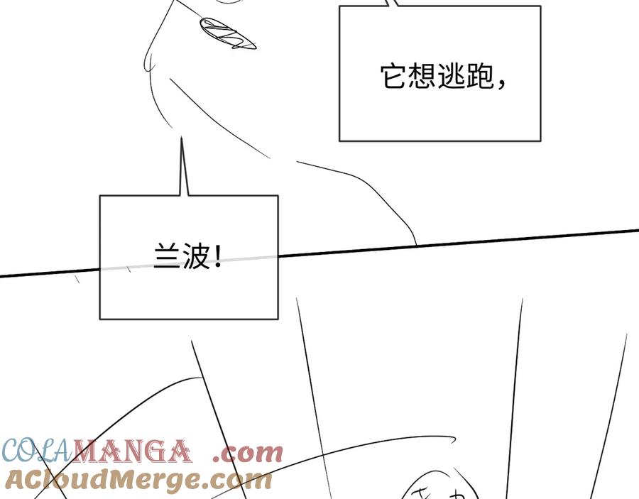 人鱼陷落 第113话 贝金，跟上 第101页