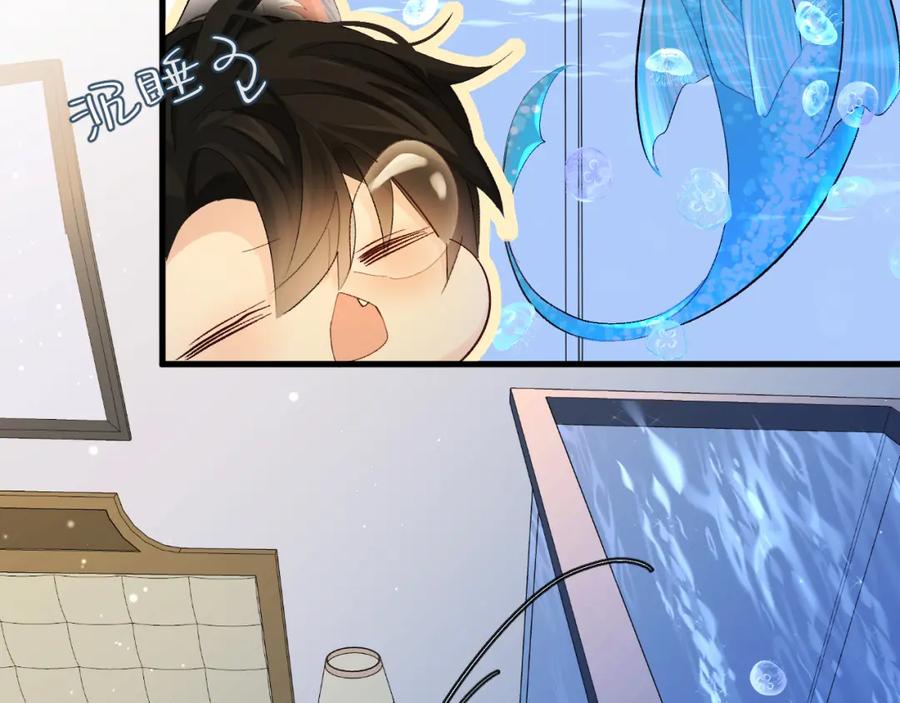 人鱼陷落 第23话 甜蜜同居开始啦~ 第71页