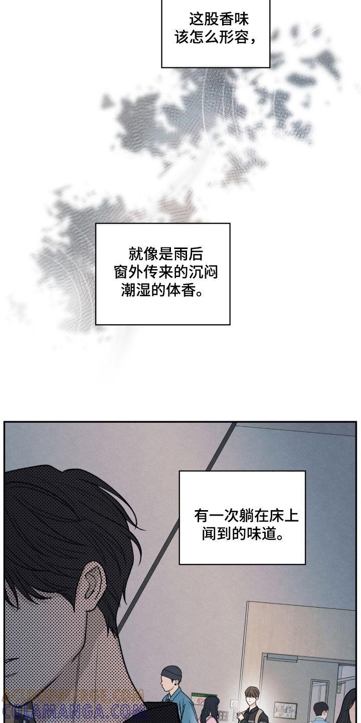 《模糊的边缘》第156章：【第二季】香味 第17页