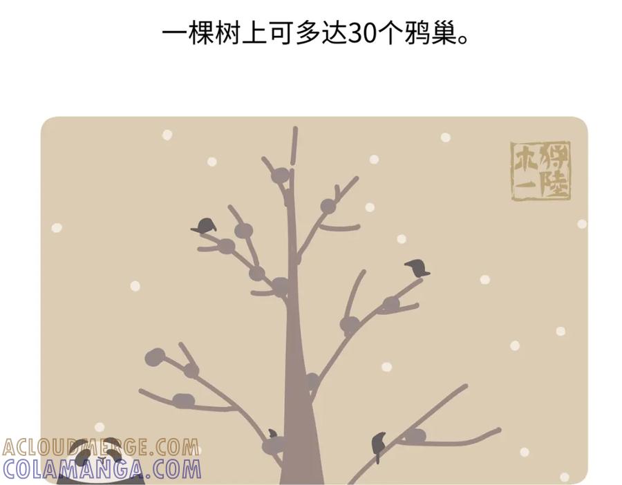 《胖达x胖达》第247话 第23页