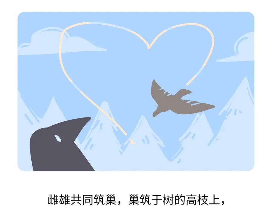 《胖达x胖达》第247话 第22页