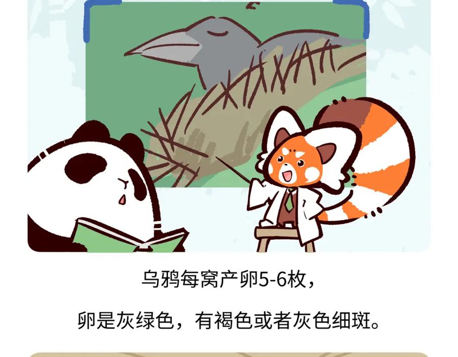 《胖达x胖达》第247话 第26页