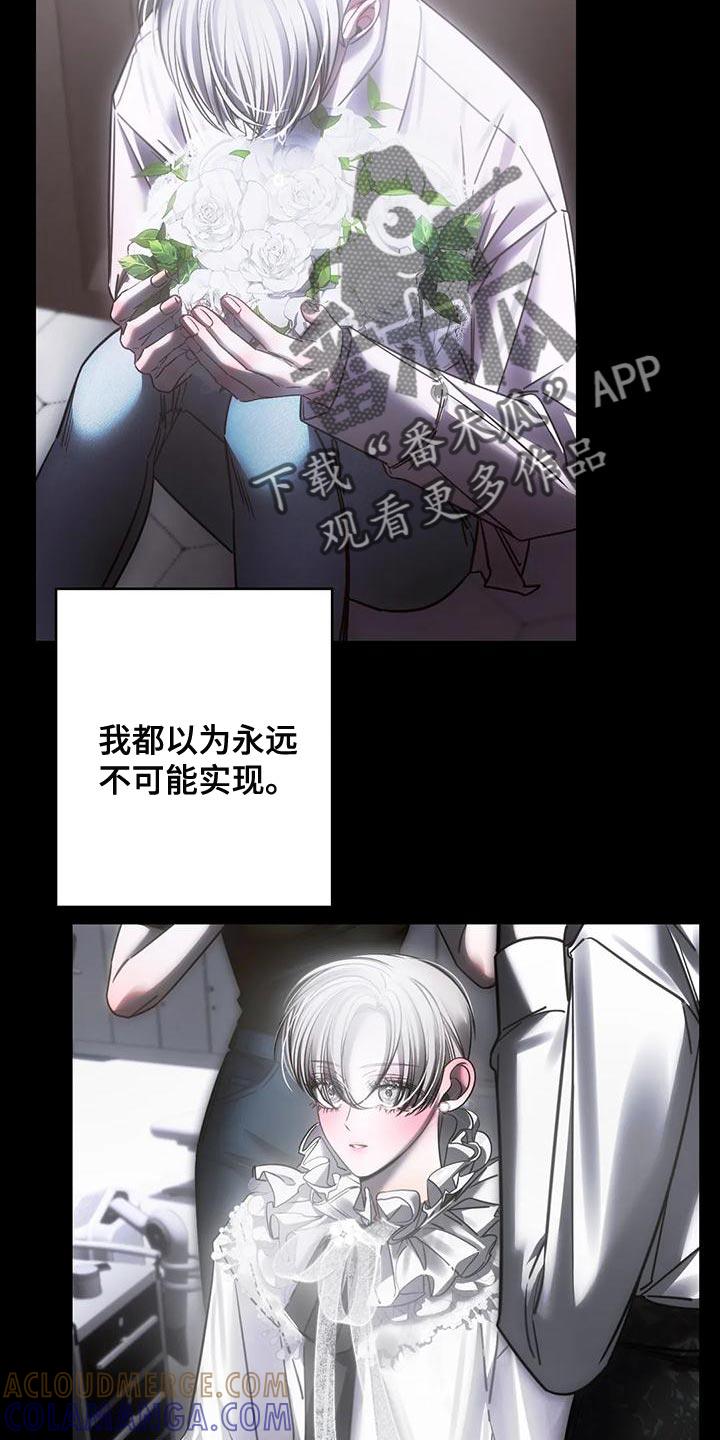 《暴动的追随》第54章：他一直在撒谎 第15页