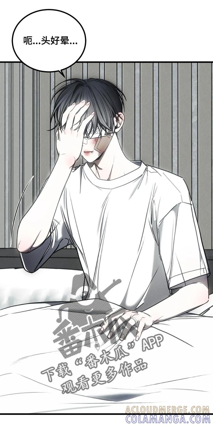 《暴动的追随》第62章：【第二季】我们会一起住在这里 第17页
